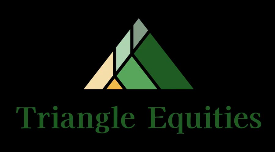 Triangle Equities Real Estate Logo Triangle Equities CRE Logo